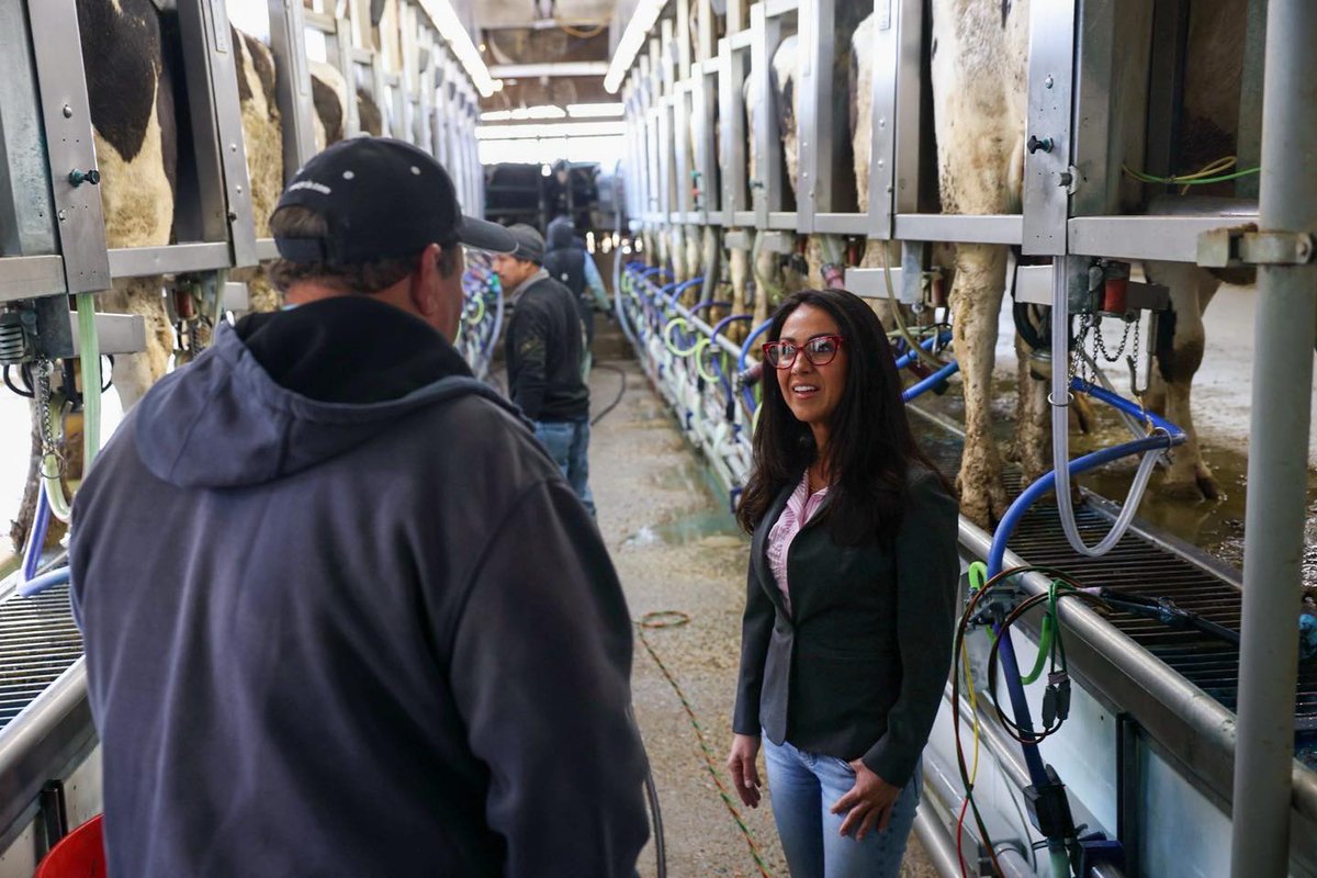 Cedar Rose Dairy