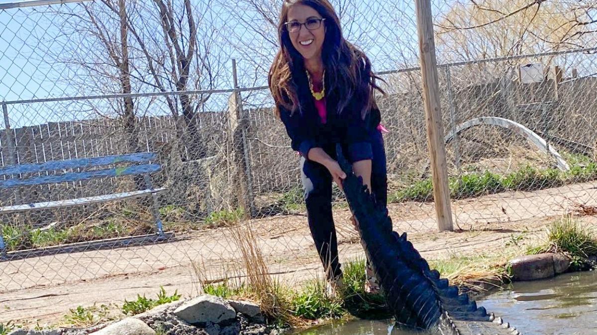 Draining the Swamp