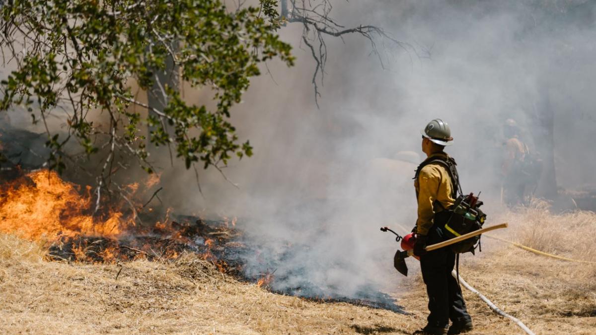 Wildfire