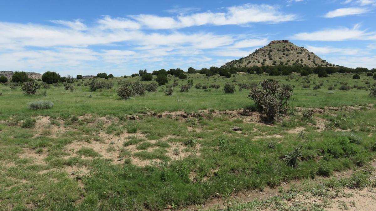 Baca County, Colorado