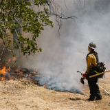 CO Firefighter