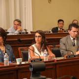 Boebert in Committee Hearing