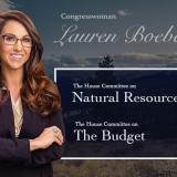 Committees Graphic