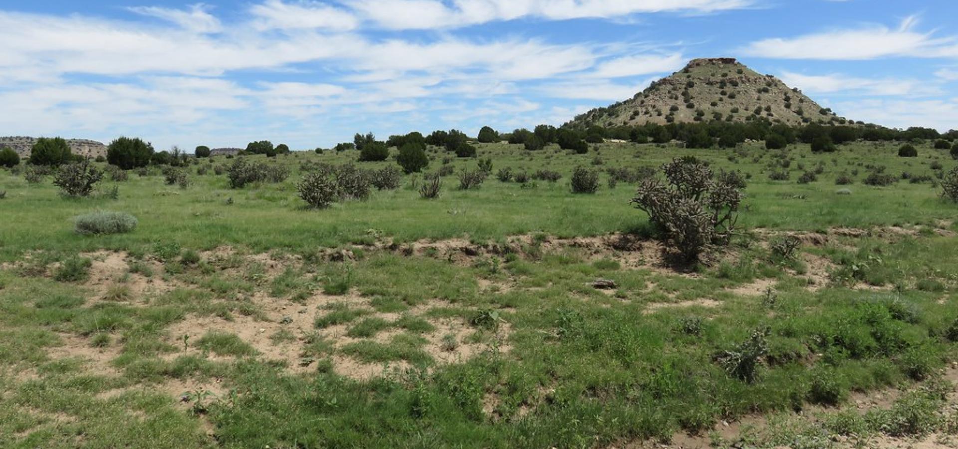 Rep. Boebert Scores First Congressional Victory