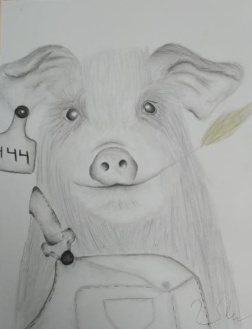 Piglet